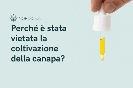 pipetta con olio di CBD