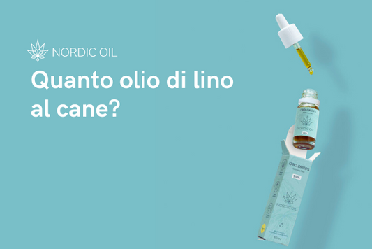 Quanto olio di lino al cane?