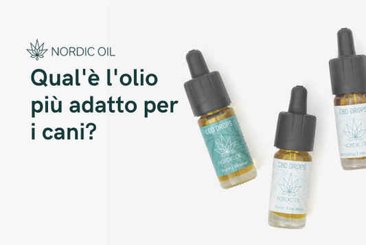 olio di cbd