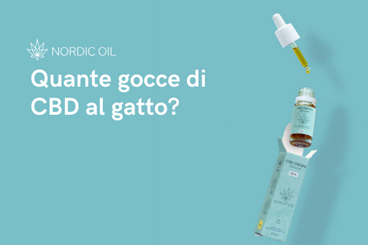 oilo di cbd