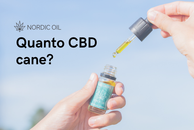 Quanto CBD cane?