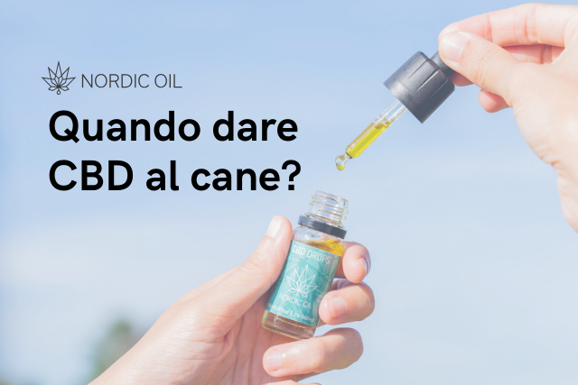 oilo di cbd