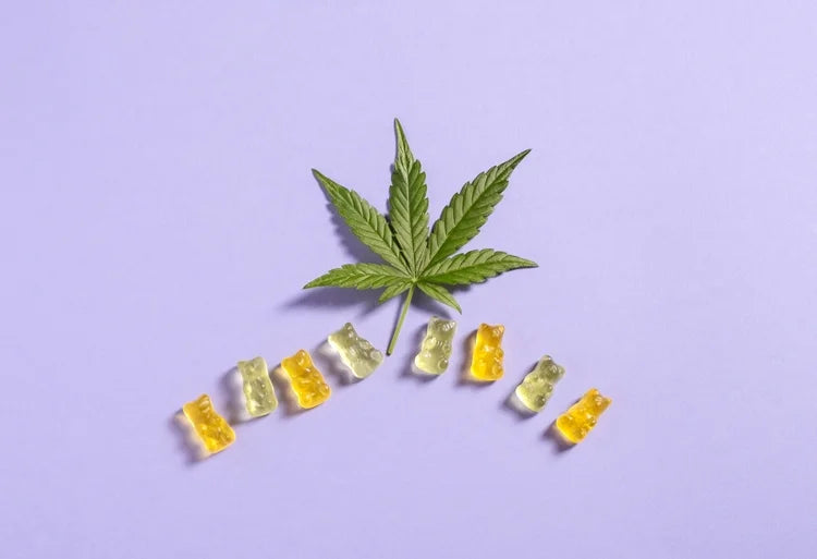 CBD Gummies per il dolore