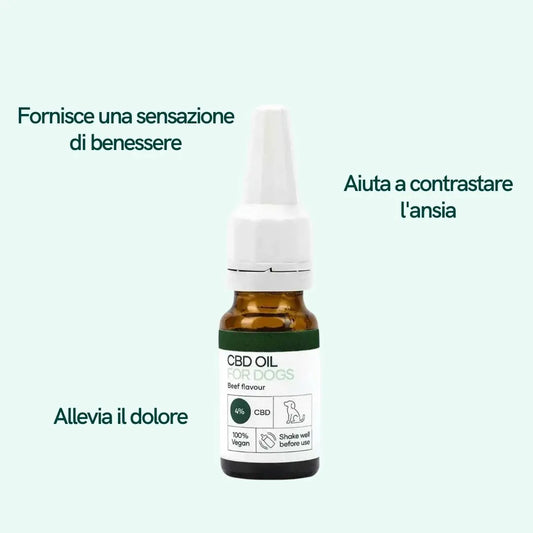 Flacone spray di olio CBD per cani con etichetta e gusto manzo
