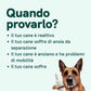 Grafica promozionale in italiano su CBD per cani: testo 'Quando provarlo?' con elenco di sintomi e cane accanto a una bottiglia contagocce