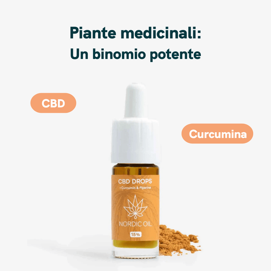 Flacone di CBD drops Nordic Oil con curcumina, accanto a polvere di curcuma