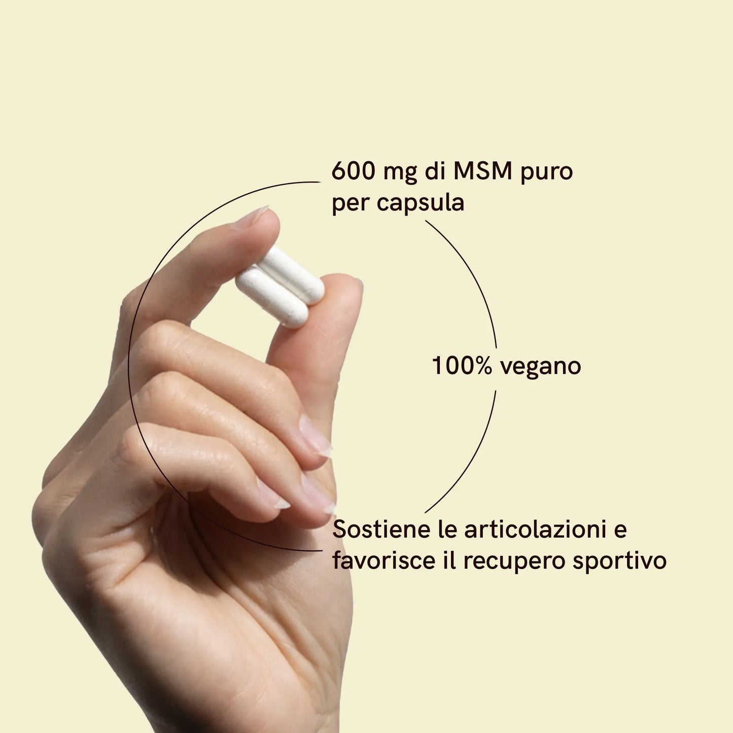 Capsule MSM