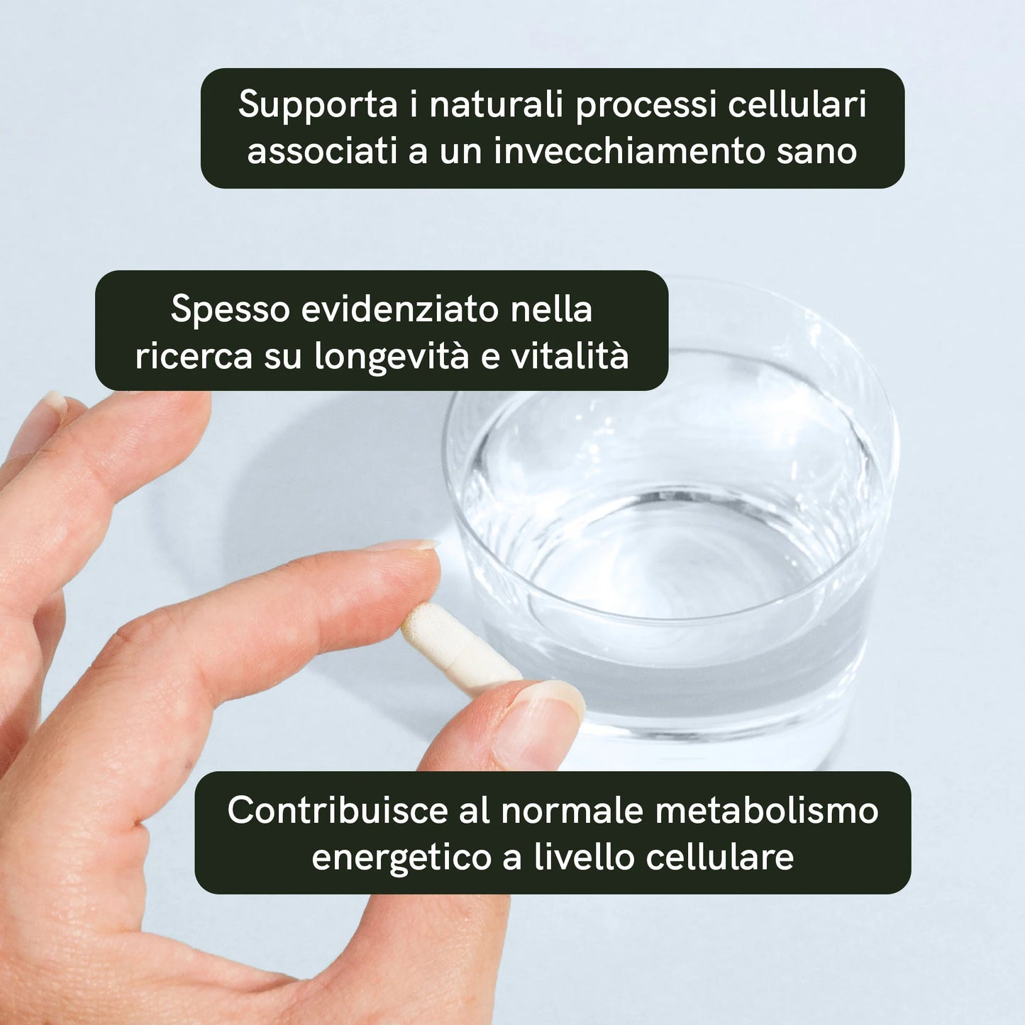 Capsule di Nicotinamide Riboside (NR)