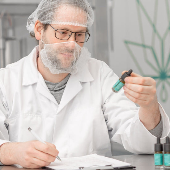 Un tecnico di laboratorio in abbigliamento protettivo esamina le bottiglie di olio di CBD (5%). 