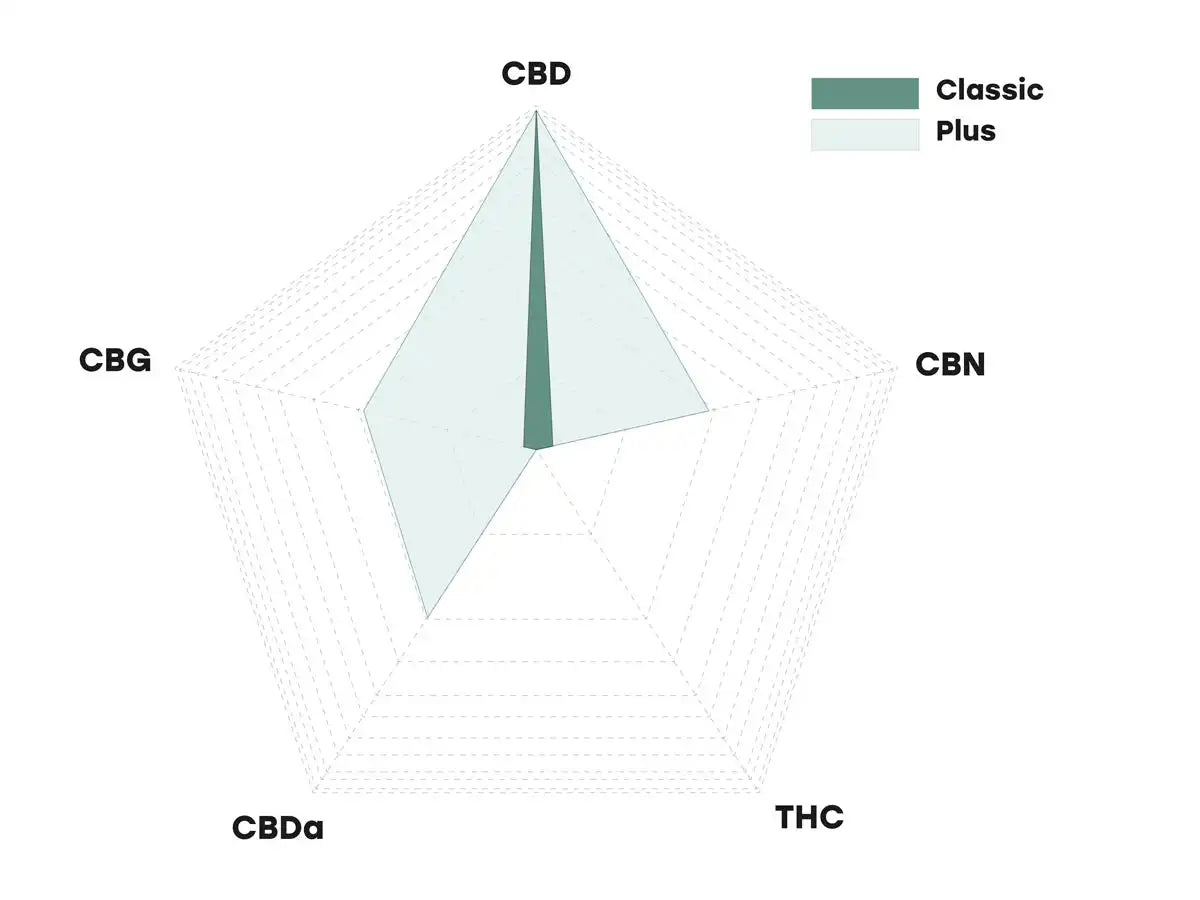 Un diagramma di confronto tra oli di CBD a spettro completo e ad ampio spettro 