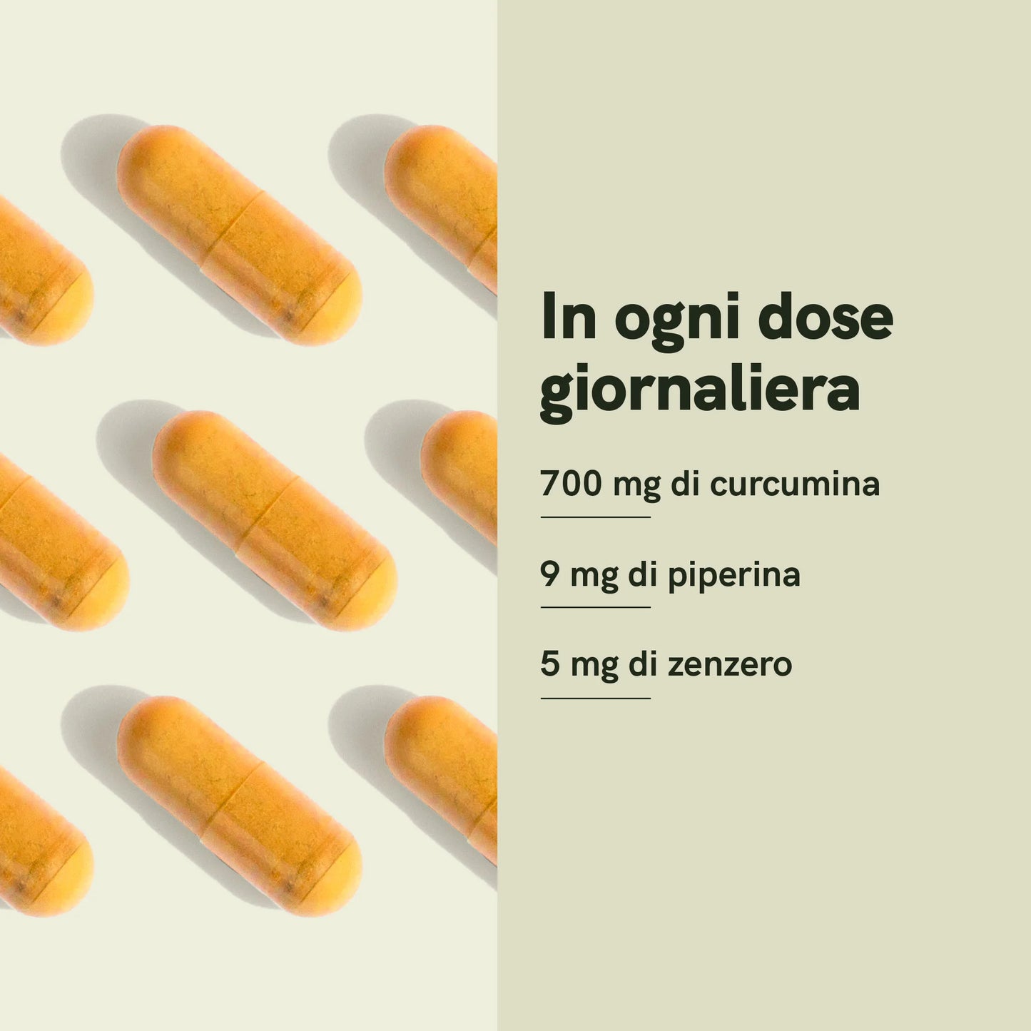 Capsule di Curcumina