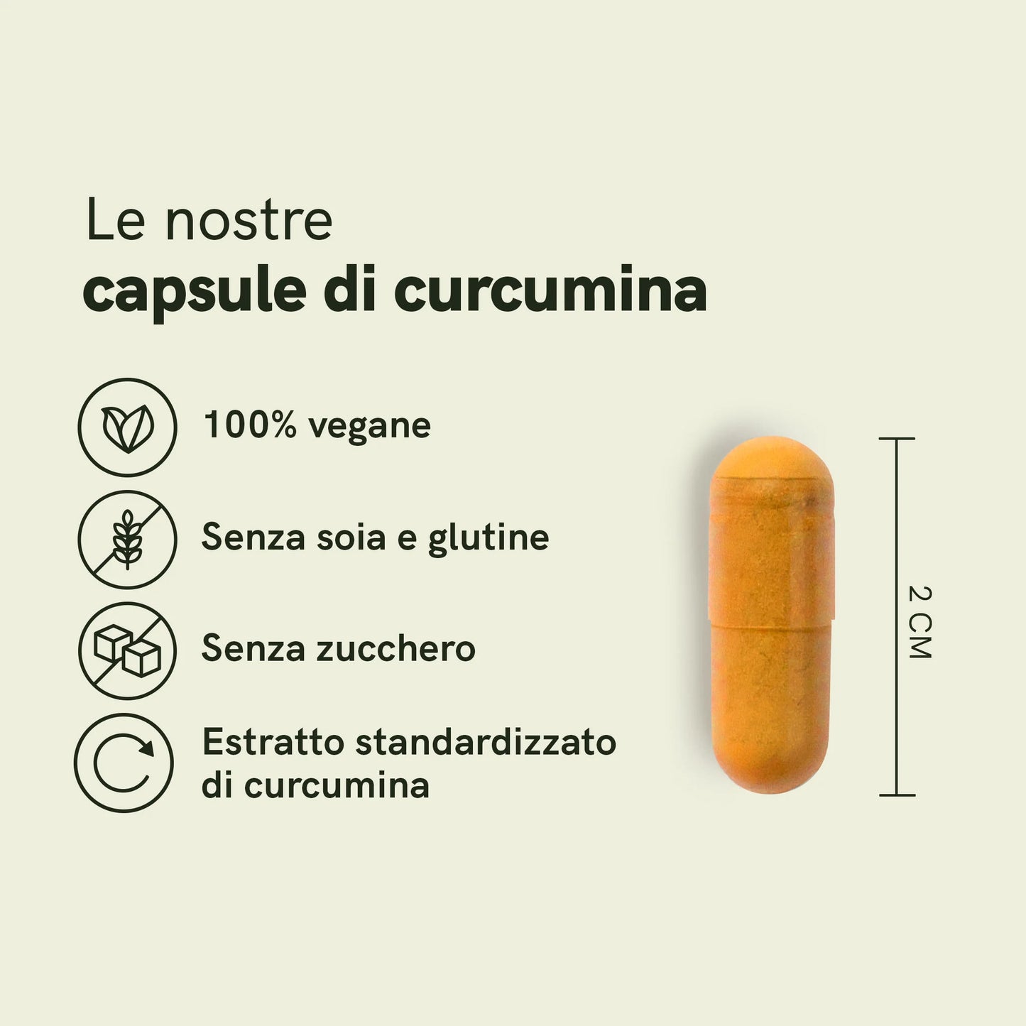 Capsule di Curcumina