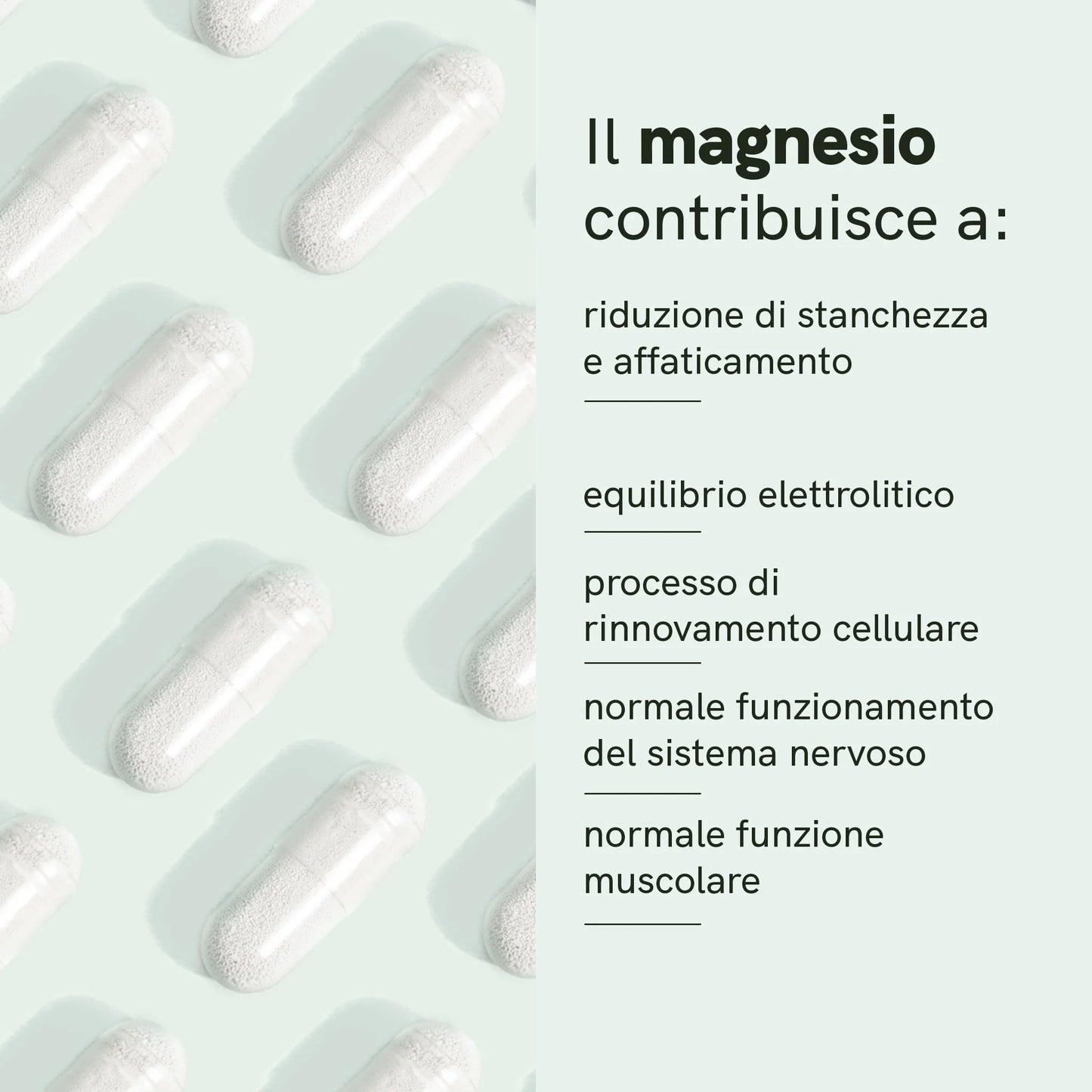 Magnesio Complex Capsule