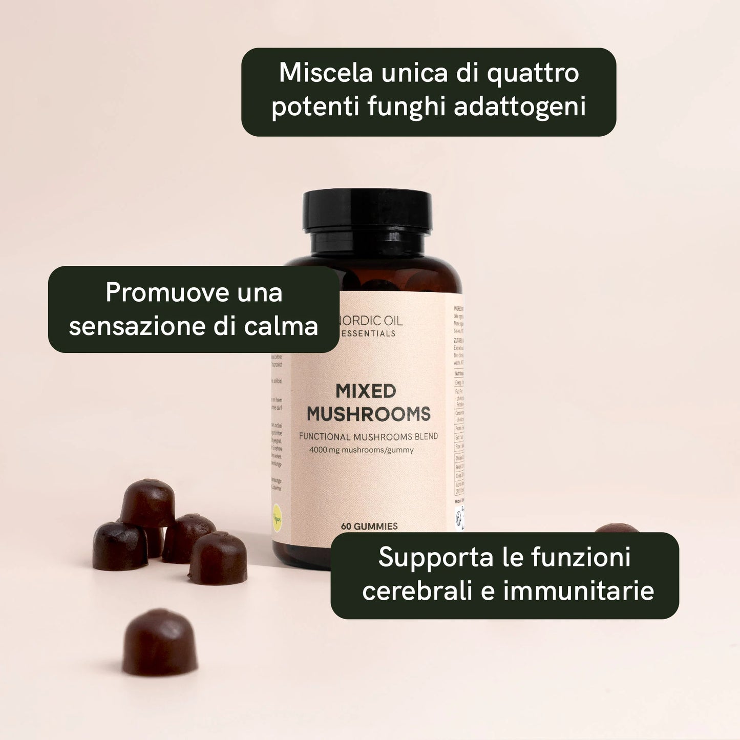 Funghi medicinali