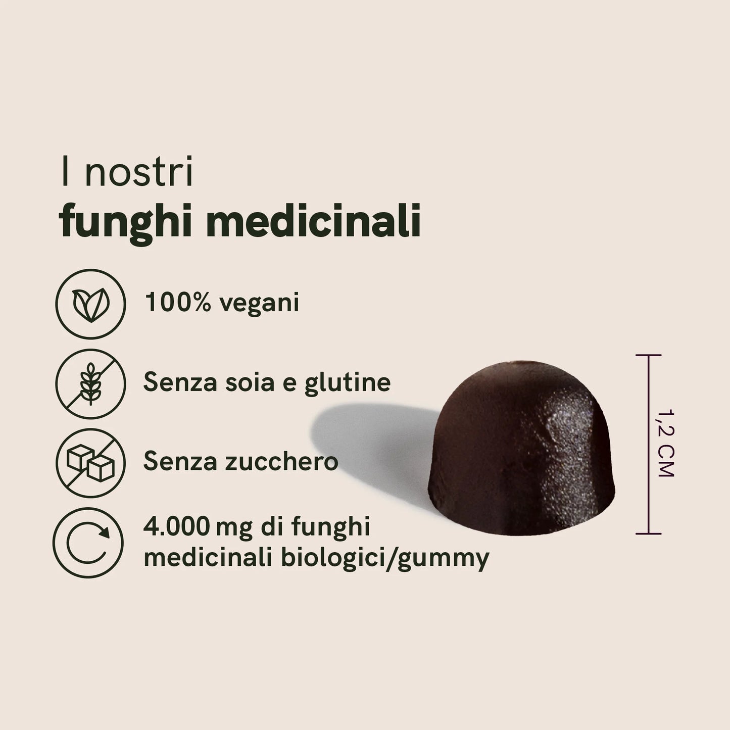 Funghi medicinali