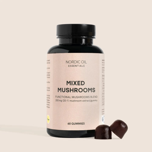 Funghi medicinali