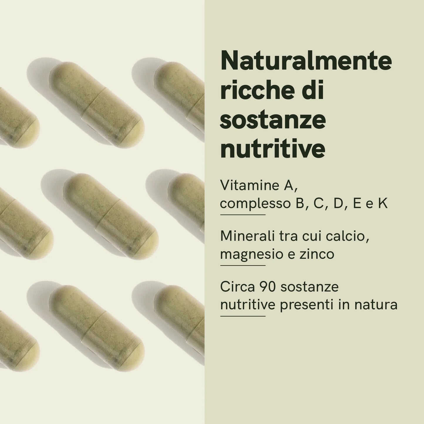 Capsule di Polvere di Moringa