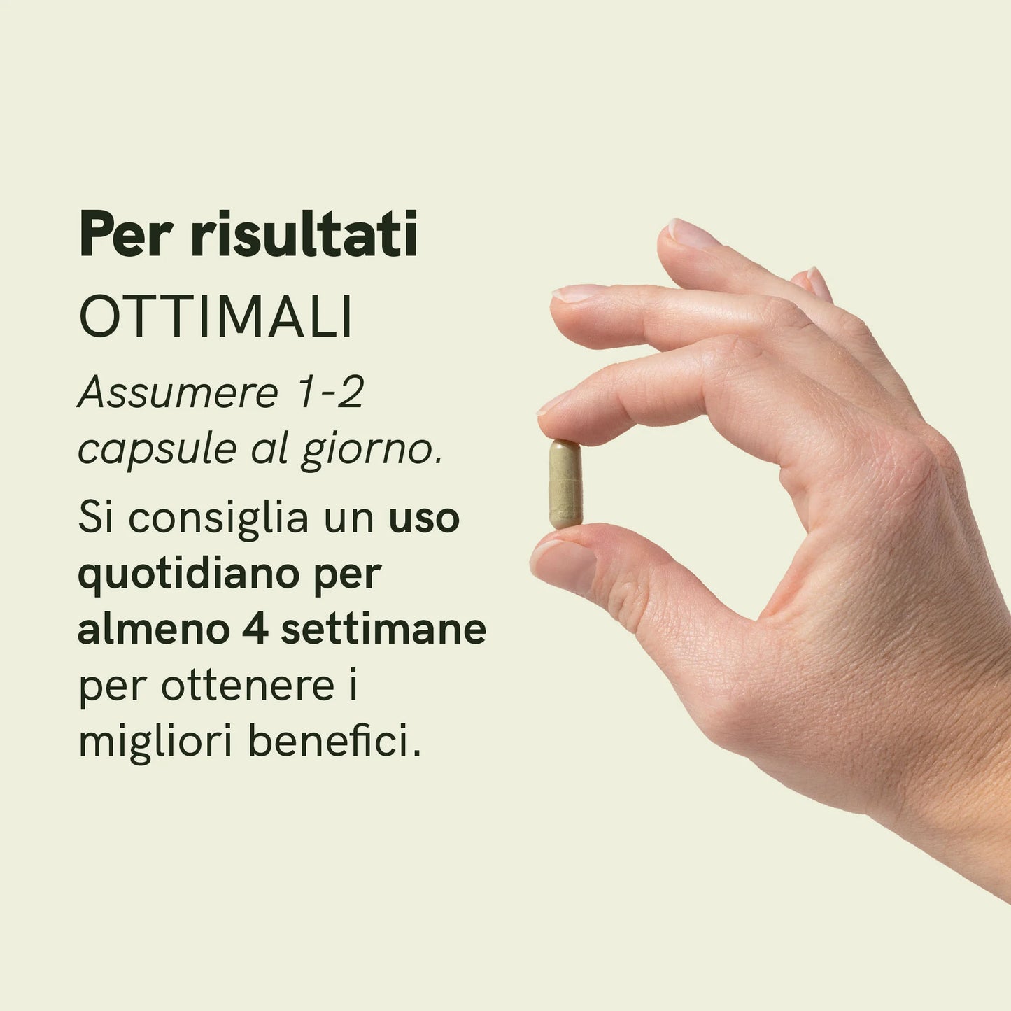 Capsule di Polvere di Moringa