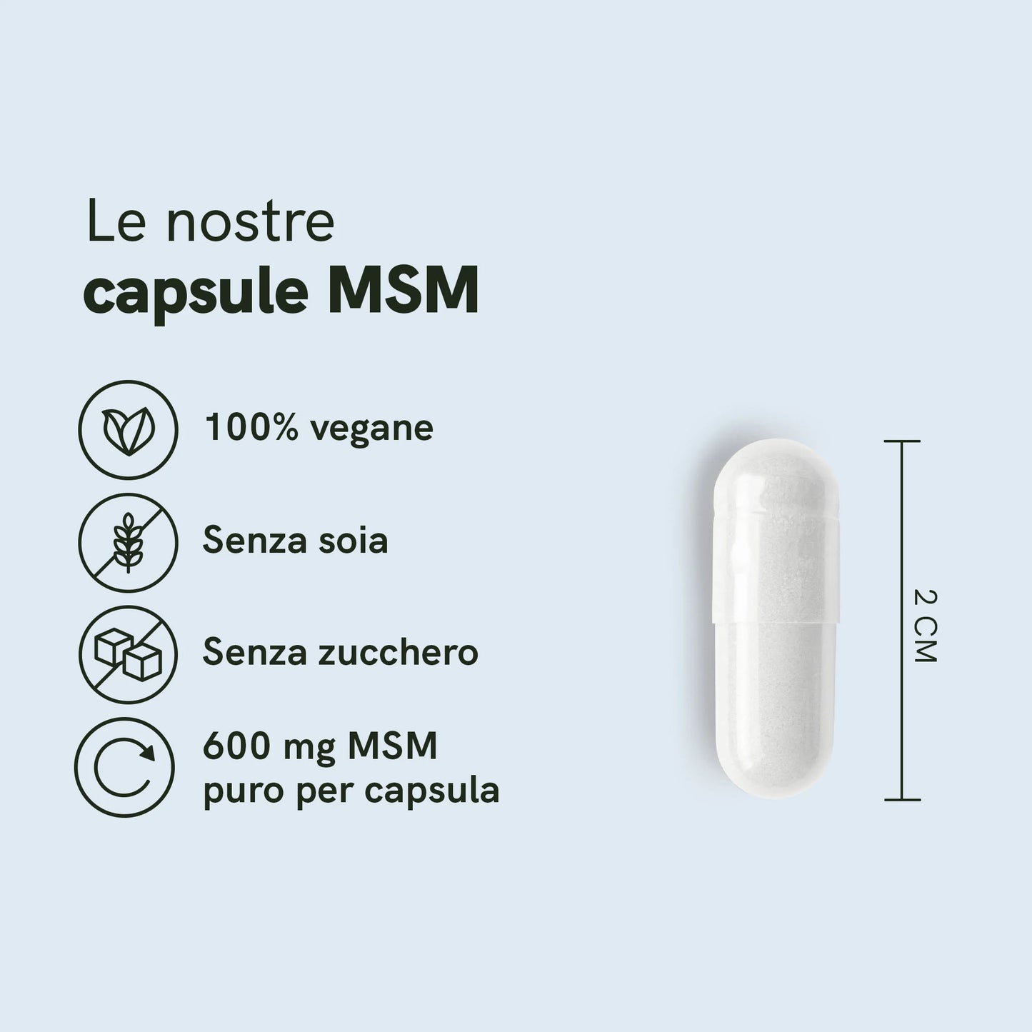 Capsule MSM