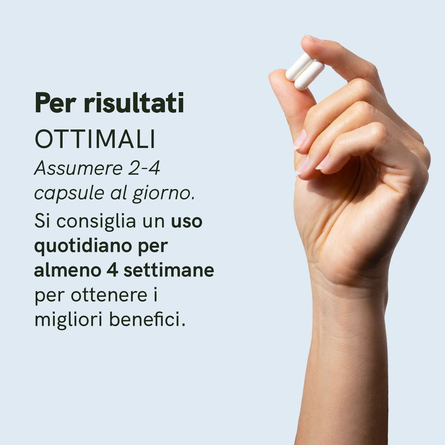 Capsule MSM