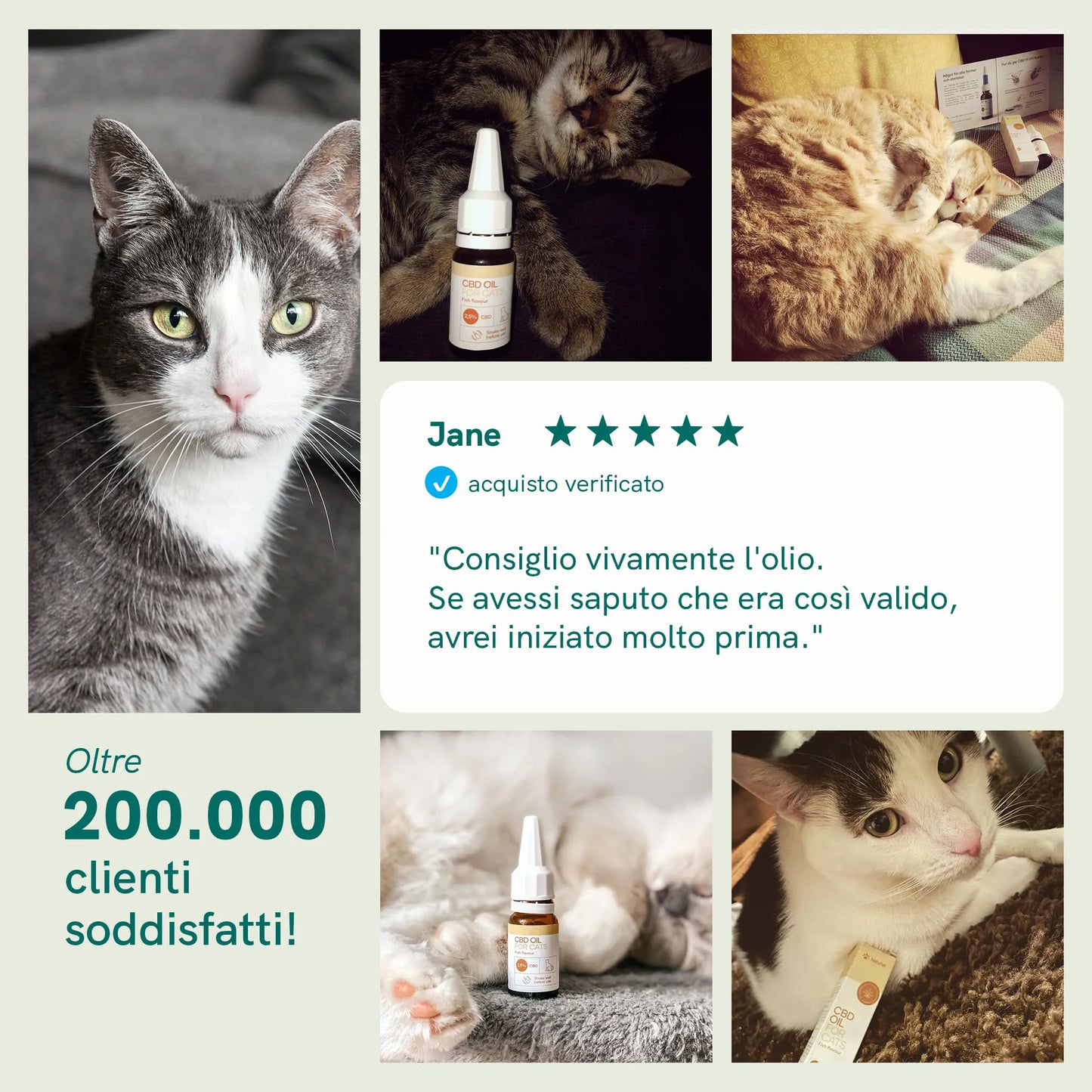 Olio CBD per gatti (2,5%) - Pesce