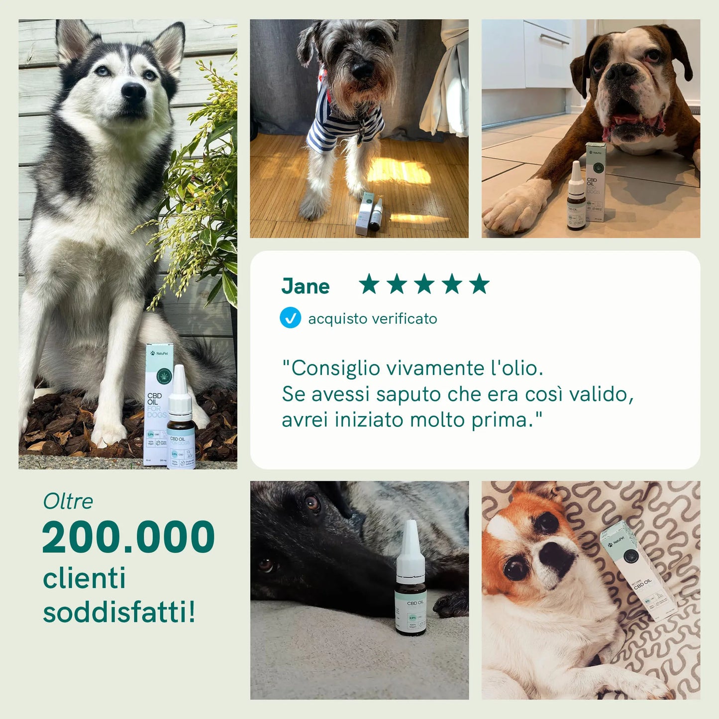 Olio CBD per cani (4%) - Manzo