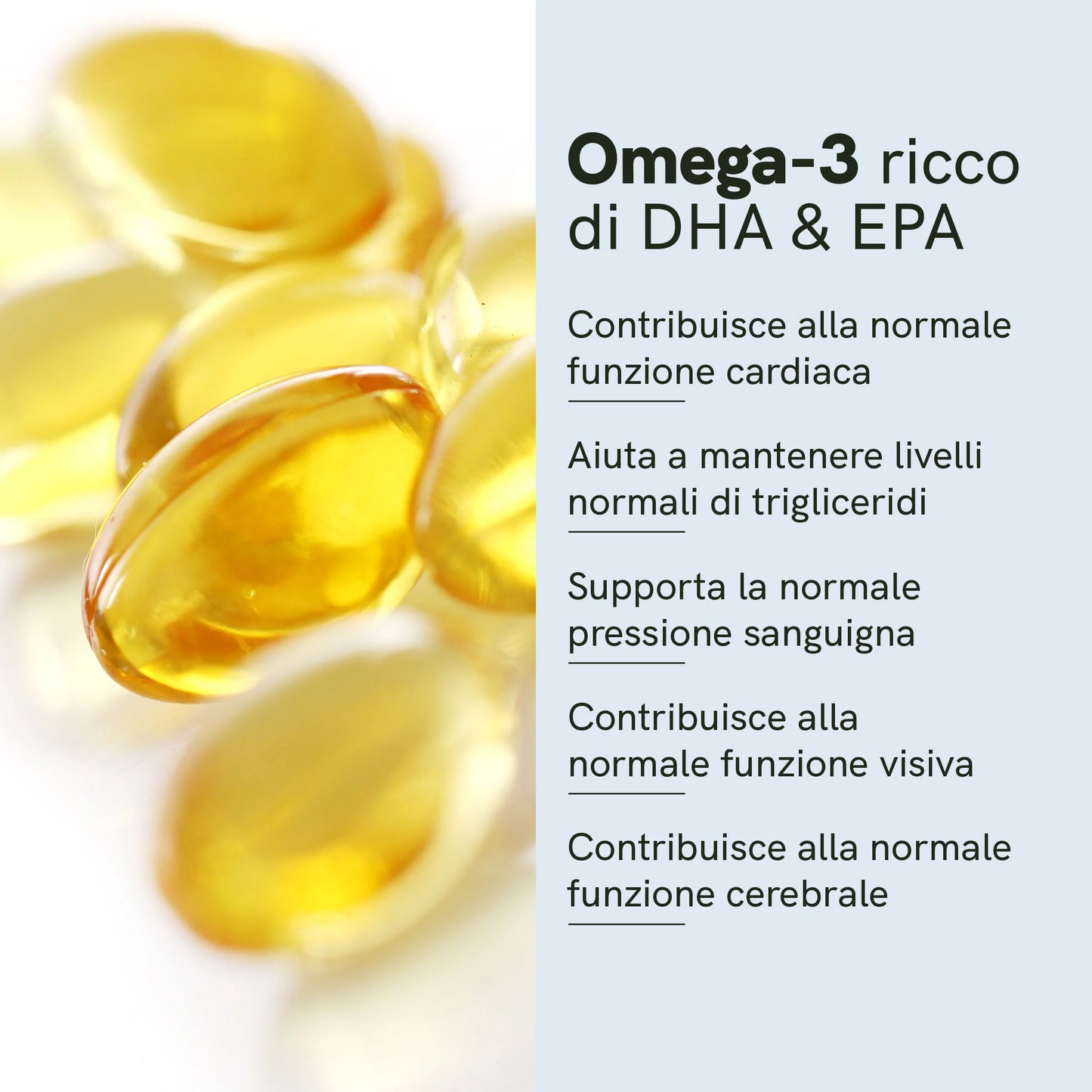 Omega 3 Capsule