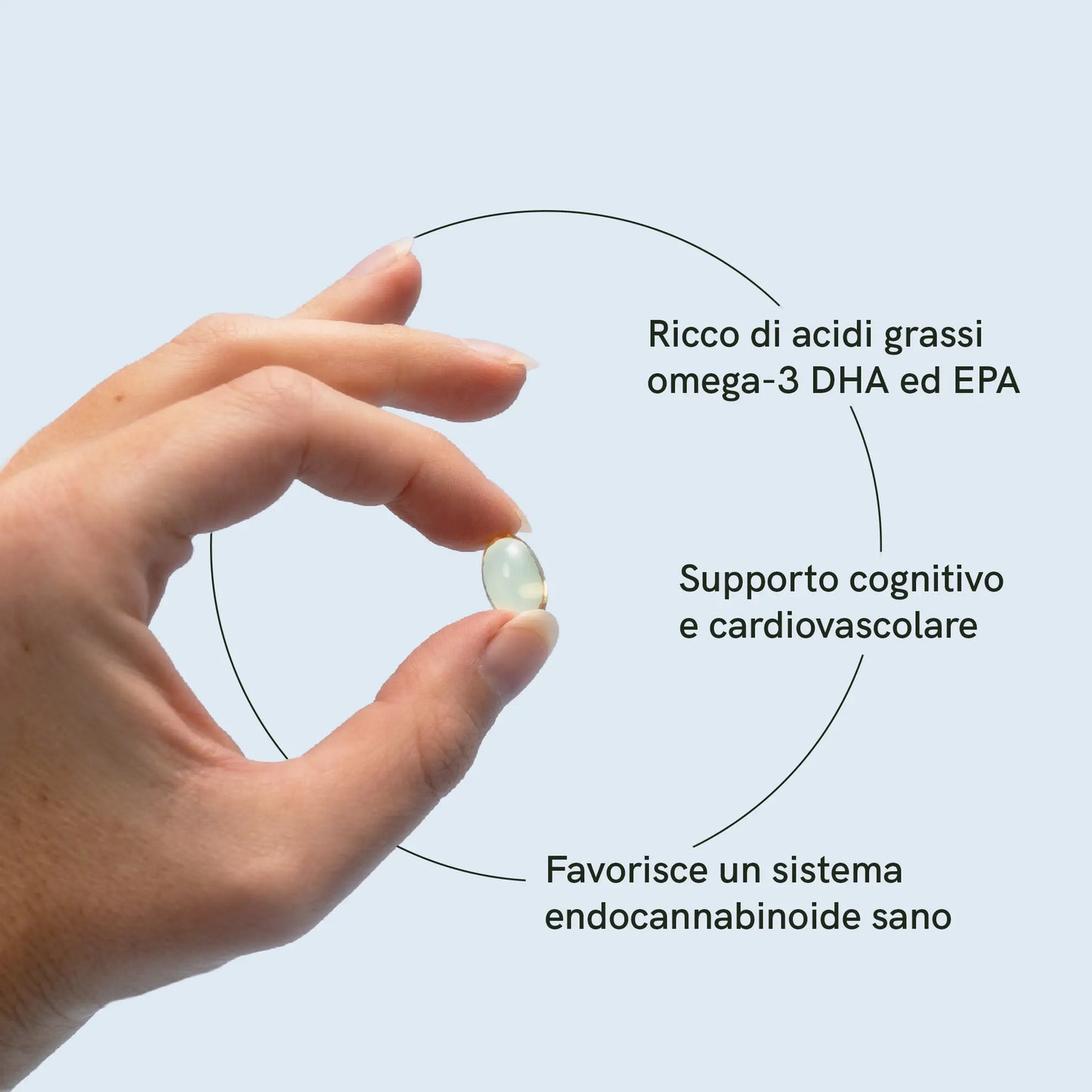 Omega 3 Capsule