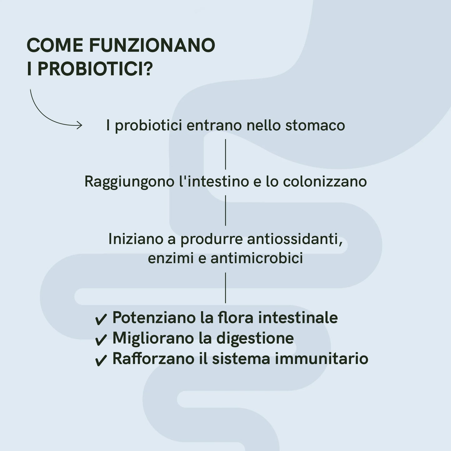 3x2: Probiotici