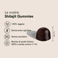 Infografica promozionale delle Shilajit Gummies con icone descrittive: 100% vegane, senza soia e glutine, senza zucchero, ricche di acido fulvico e acido umico.