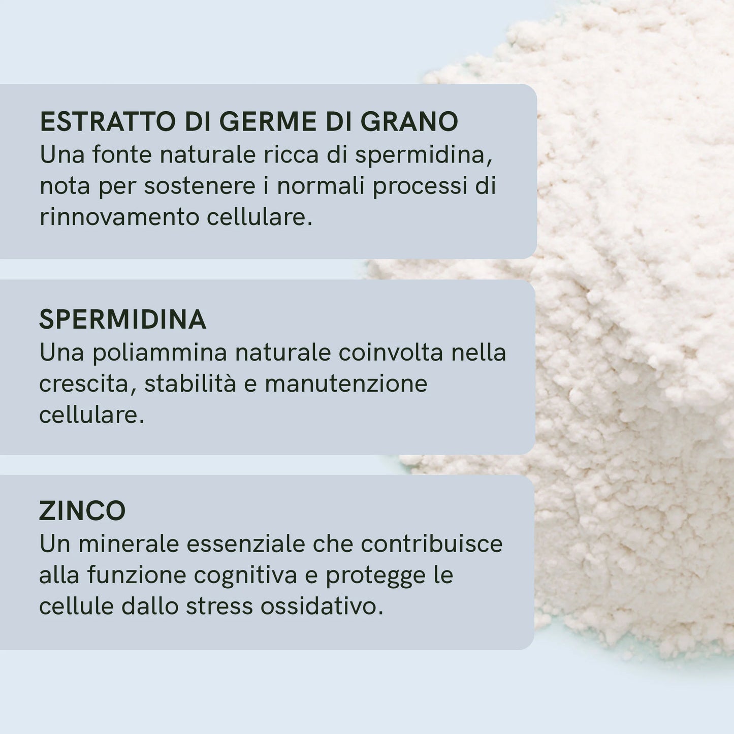 Capsule di spermidina