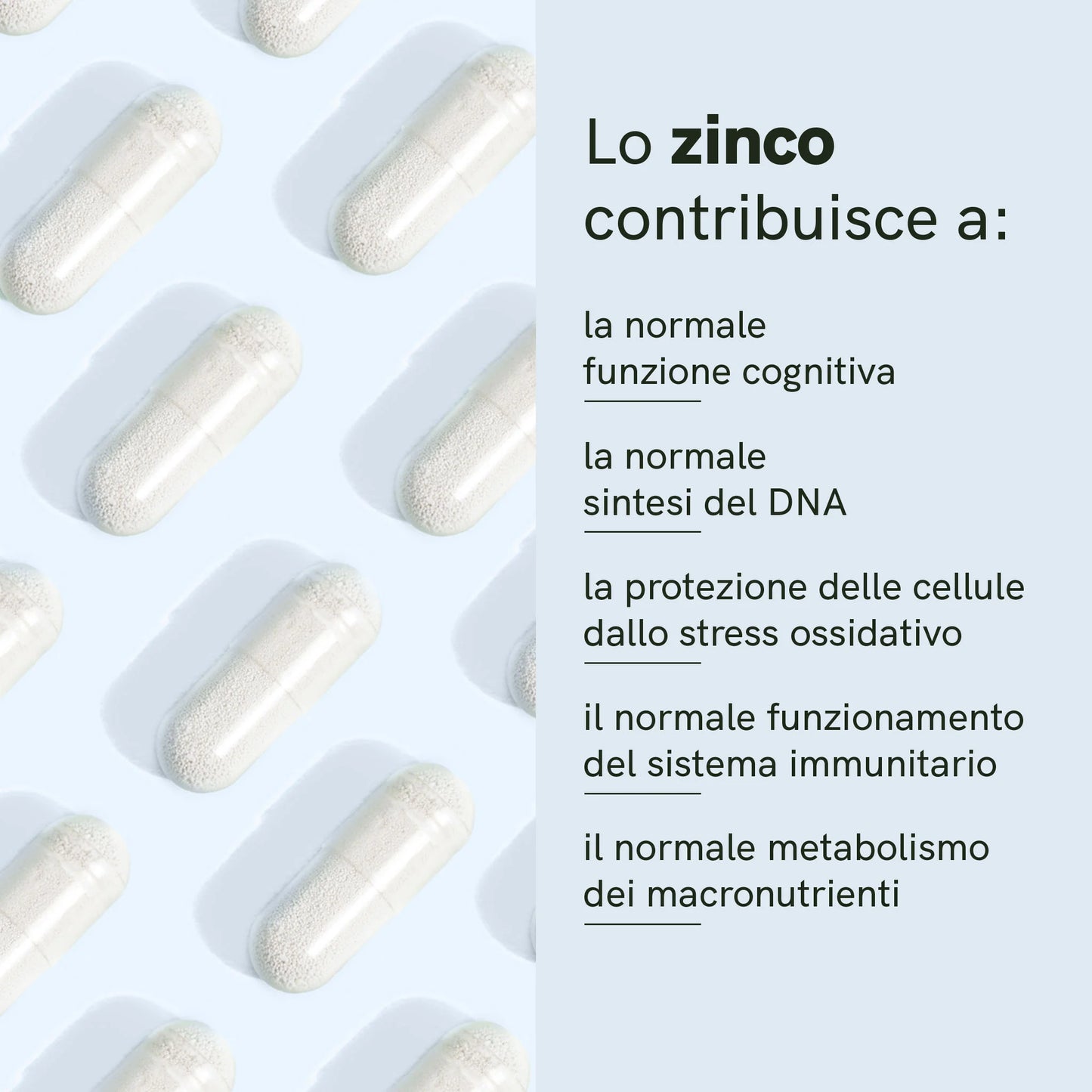 Capsule di spermidina