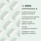 Capsule di zinco